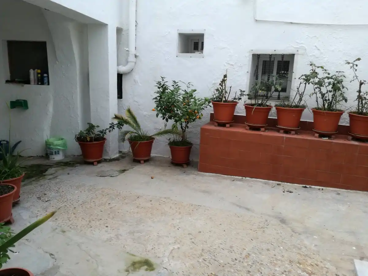 Casa rústica amb terrassa en venda a Vejer, imagen 37