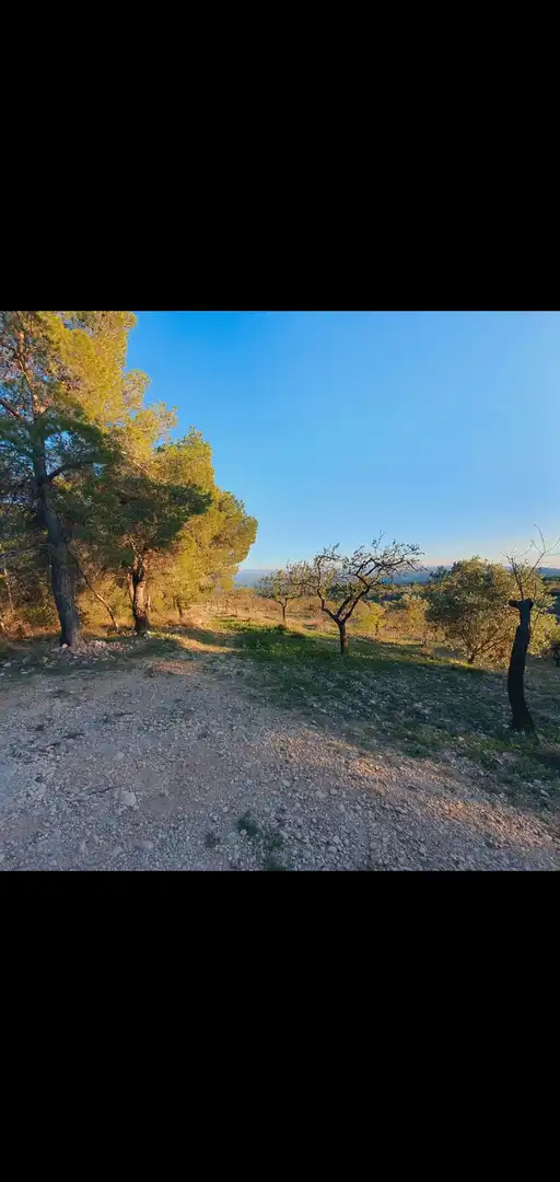 Casa en venta en Móra d'Ebre, imagen 10