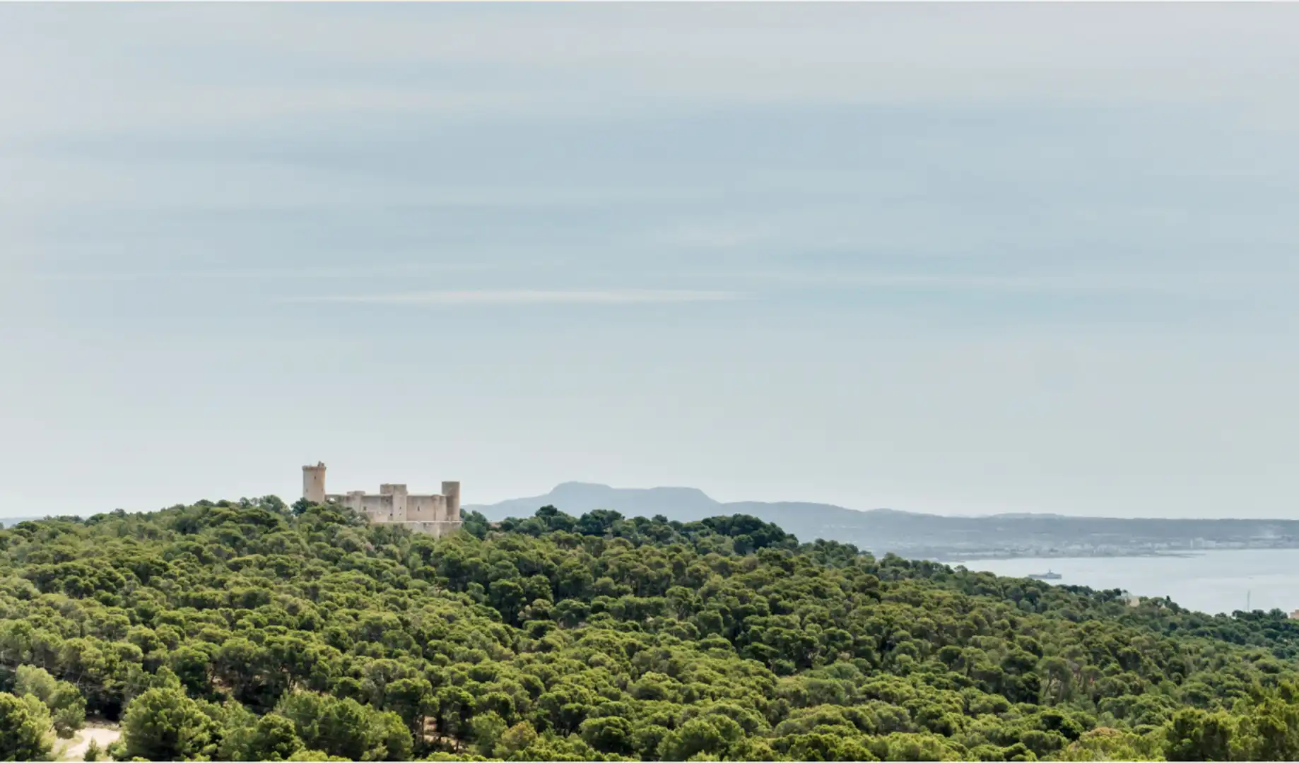 Apartments for rent in Santa Catalina