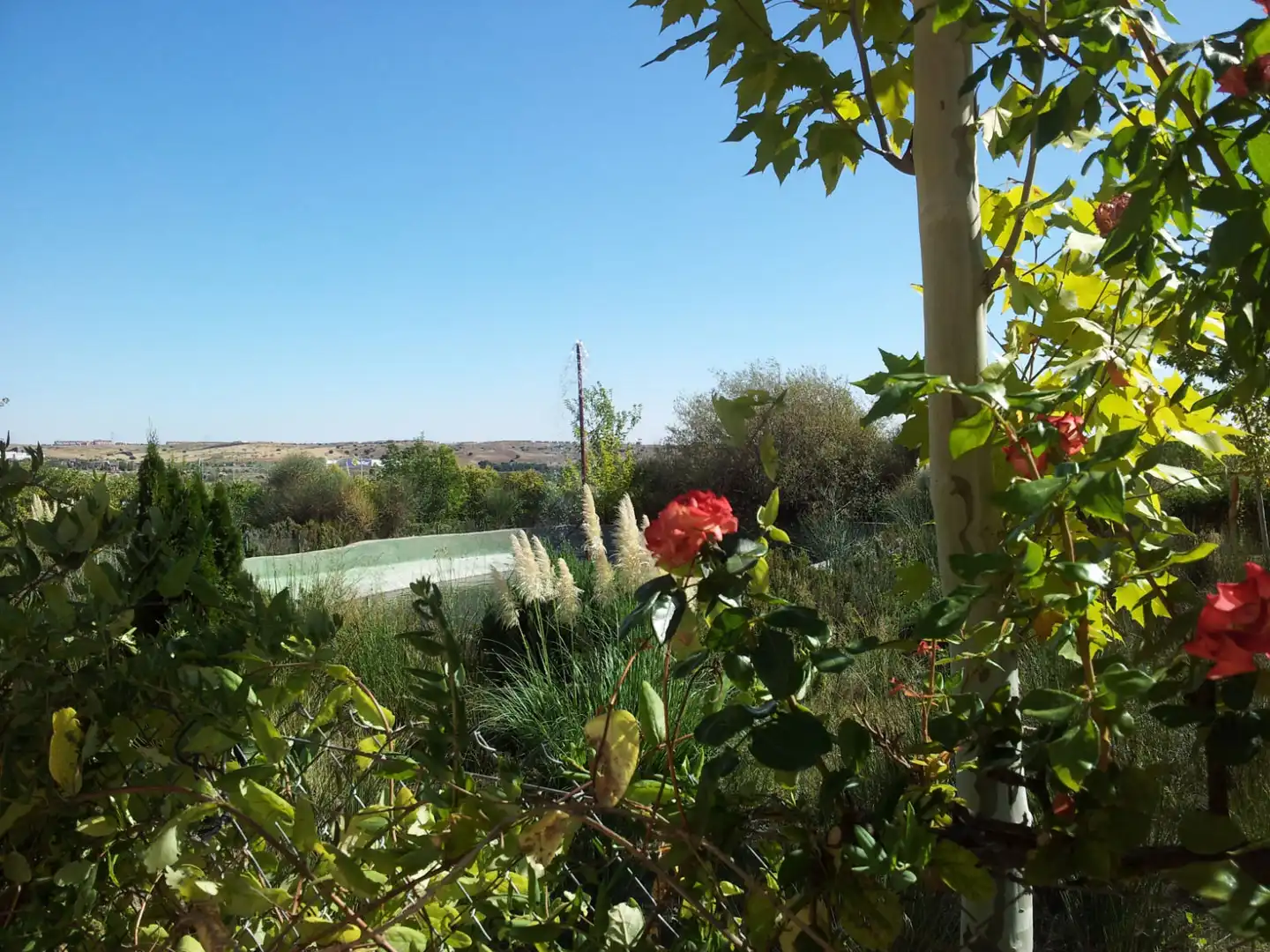 Garten von Grundstücke zum Verkauf in Coslada