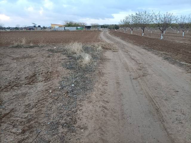 Terreno residencial en Venta en Mascaraque