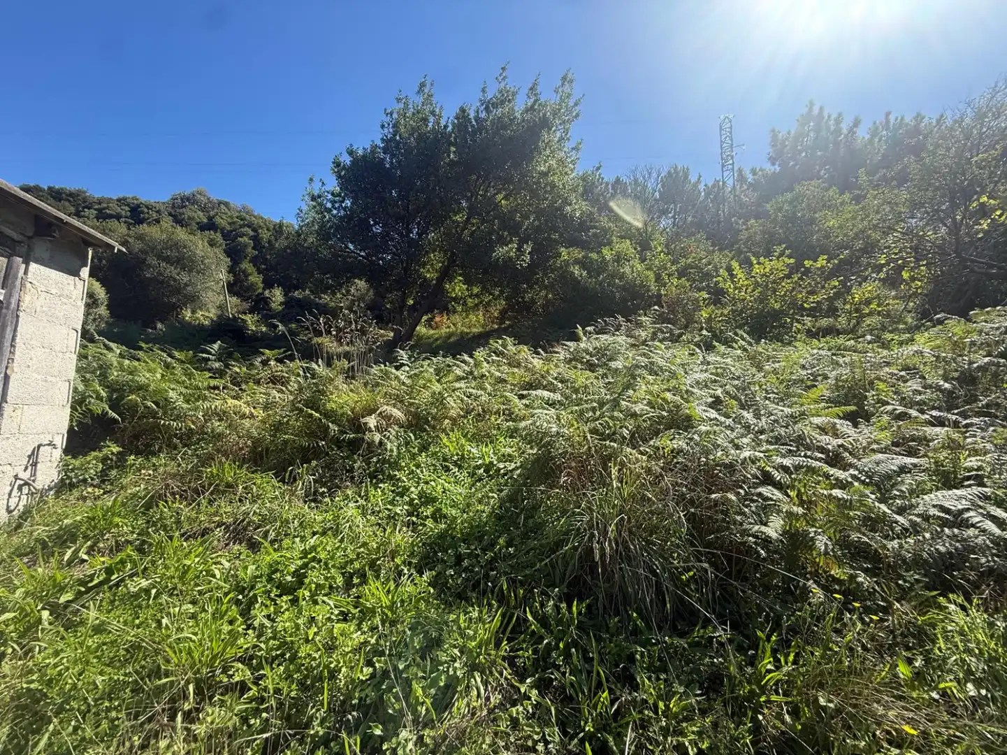 Detached homes for sale in Piedras Blancas