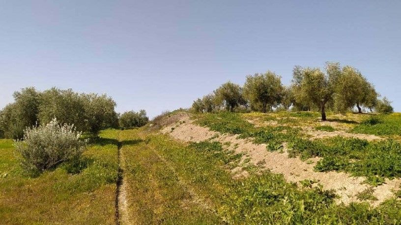 Residential for sale in Torredonjimeno