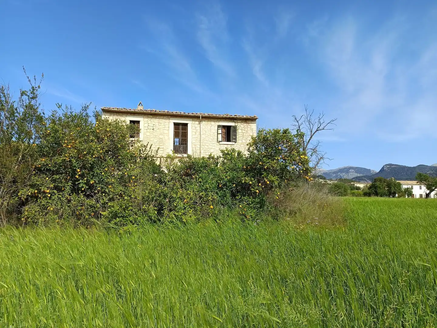 Exterior view of Country homes for sale in Binissalem  with Private garden