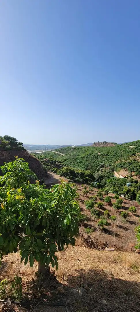 Terreny rústic en venda a Vélez-Málaga ciudad, imagen 36