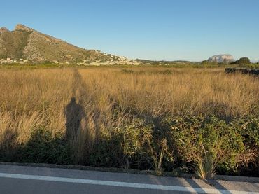 Terreny rústic en venda a El Ràfol d'Almúnia