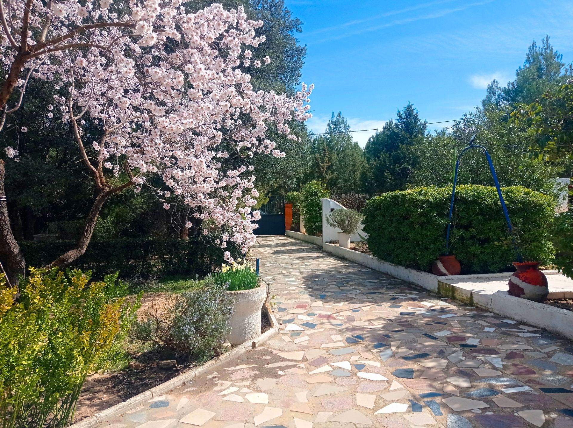 Jardín de Casa o chalet en venta en  Albacete Capital con Jardín privado, Terraza y Trastero