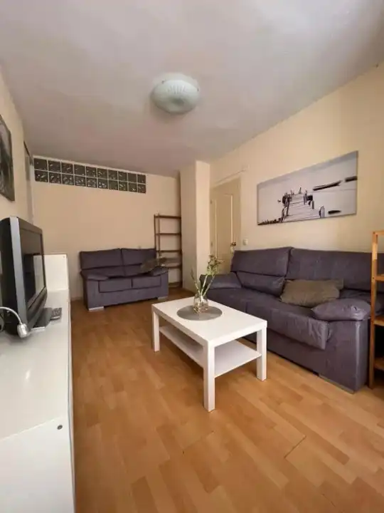 Living room of Flat for sale in Valencia  with Heating, Terrace and Furnished