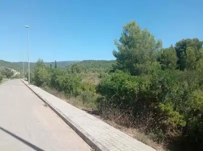 Terreny rústic en venda a Pt  SAPU-IN-1, imagen 7