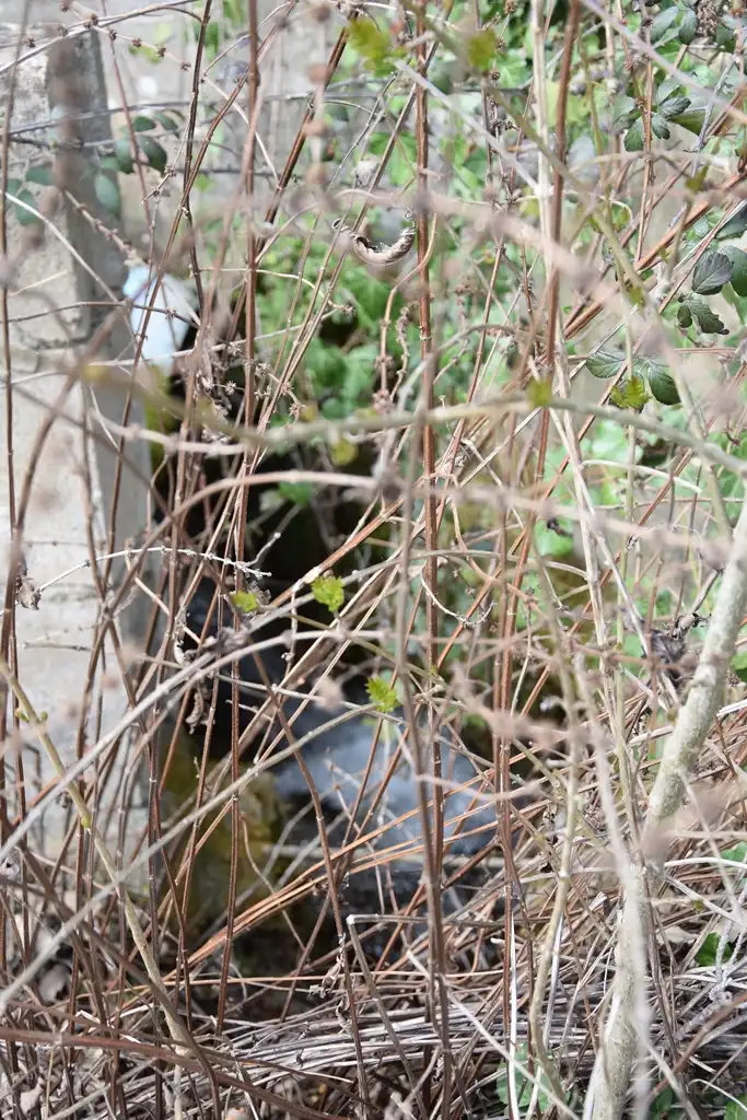 Terreni e lotti in vendita a Arens de Lledó, imagen 7
