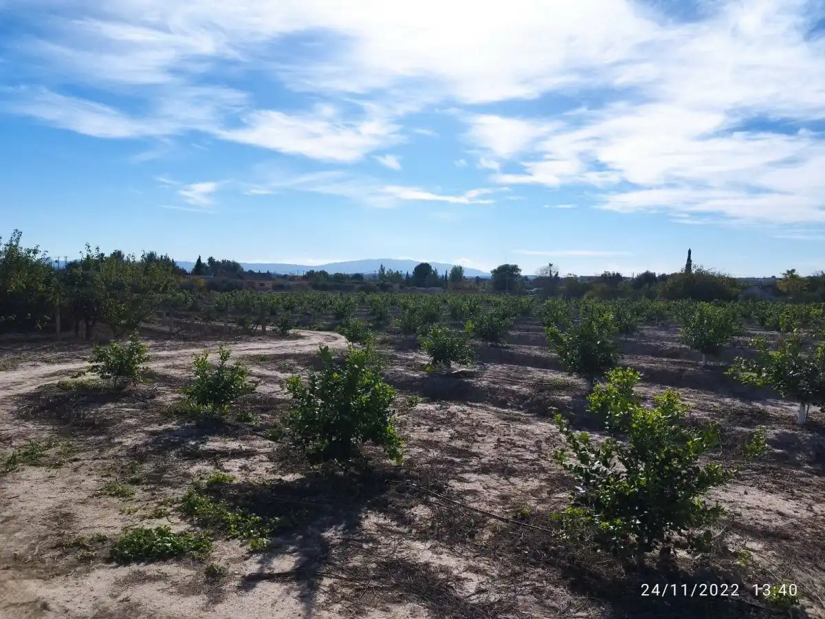 Terreny residencial en venda a El Llano, imagen 4