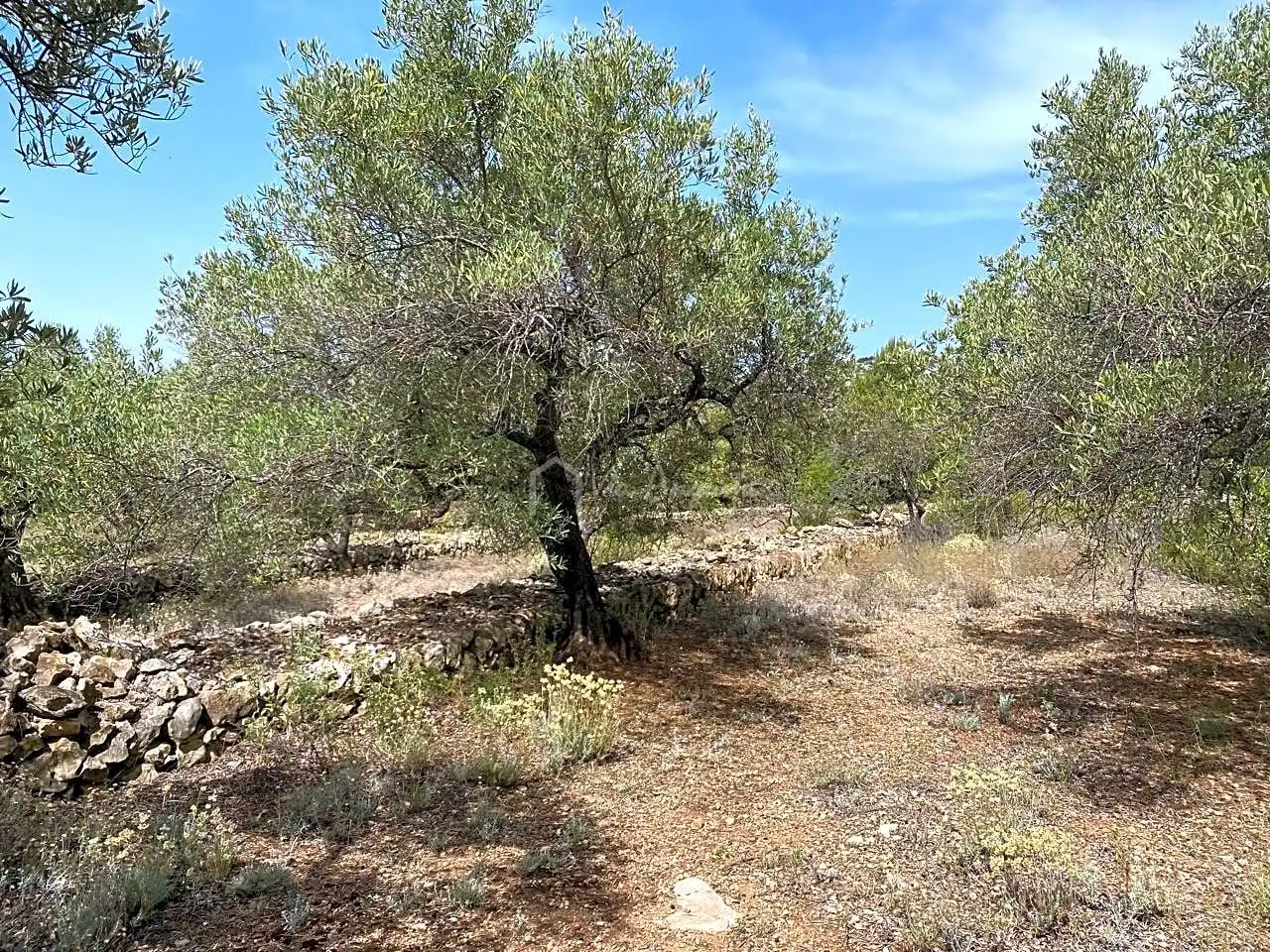 Terreno rustico in vendita a Partida Comartins, imagen 14