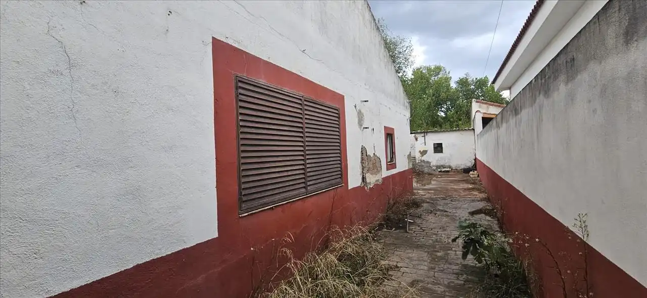Villa in vendita a Felipa, imagen 12