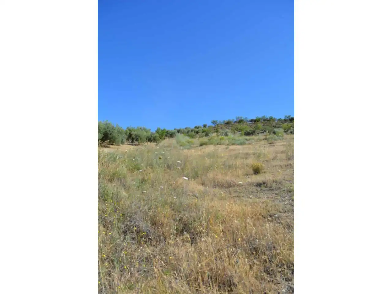 Lands and plots for sale in Plaza Iglesia 1, imagen 23