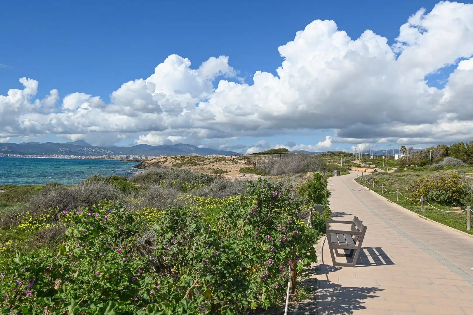 Wohnung zum Verkauf in Platja de Palma, imagen 2