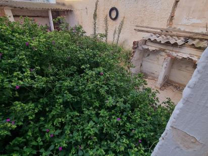 Jardí de Casa o xalet en venda en Aspe amb Terrassa