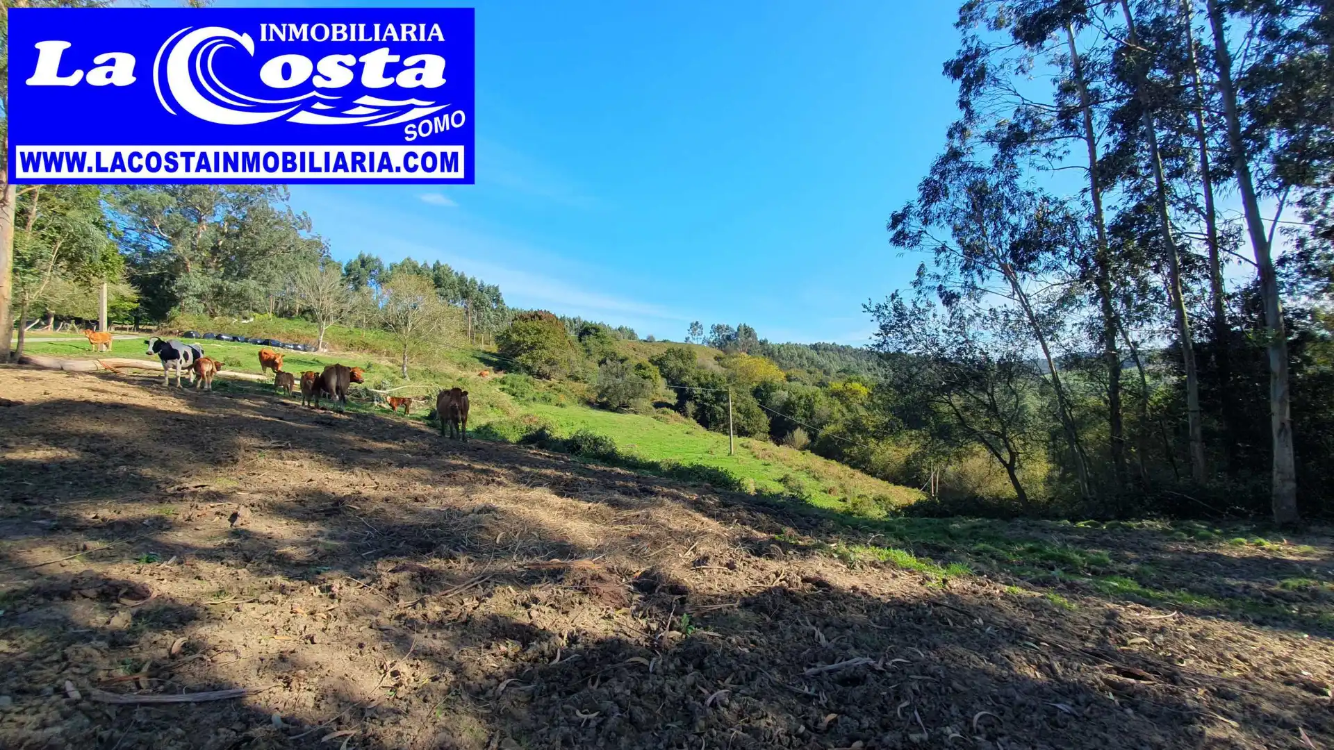 Residential for sale in Ribamontán al Mar