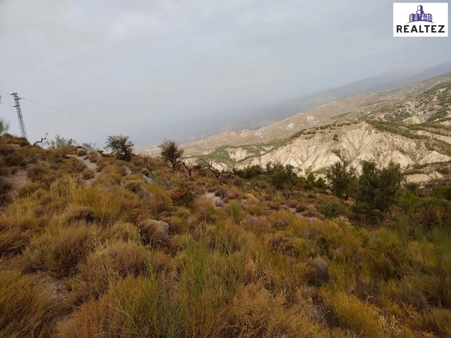 Terrain rustique à vendre à Alcolea, imagen 4