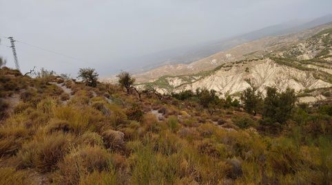 Terreno rústico en venta en Alcolea  7.971m2 en plena Alpujarra Almeriense., immagine 4