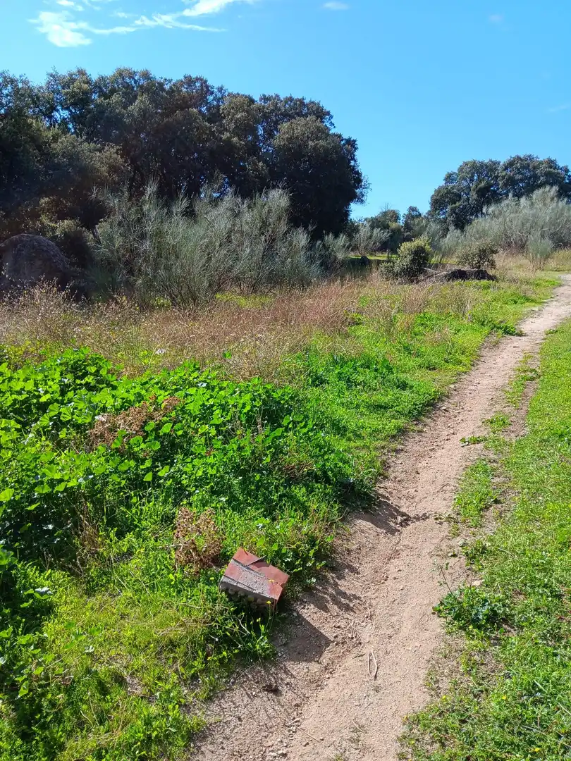 Terreno residencial en venta en Calle de Madrid 20, imagen 9