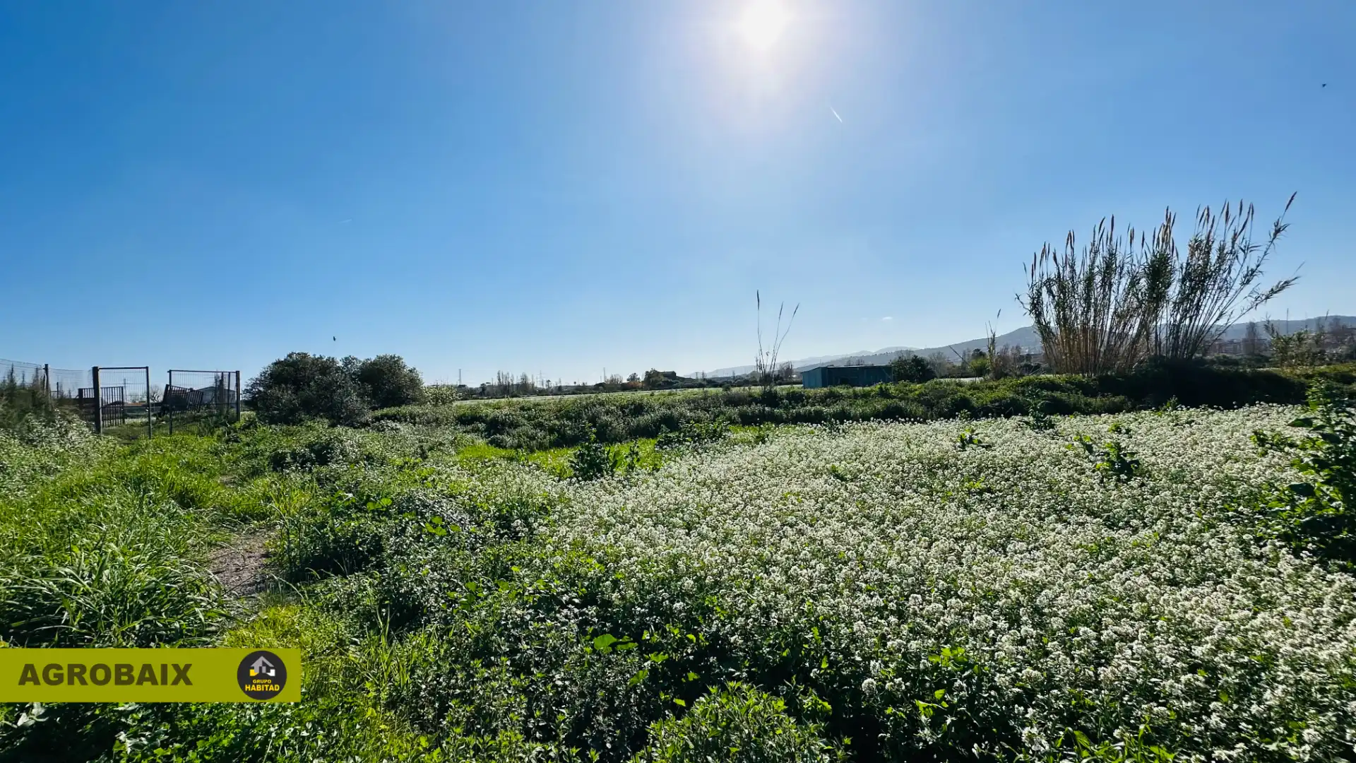 Rural land for sale in Vinyets - Molí Vell, imagen 19