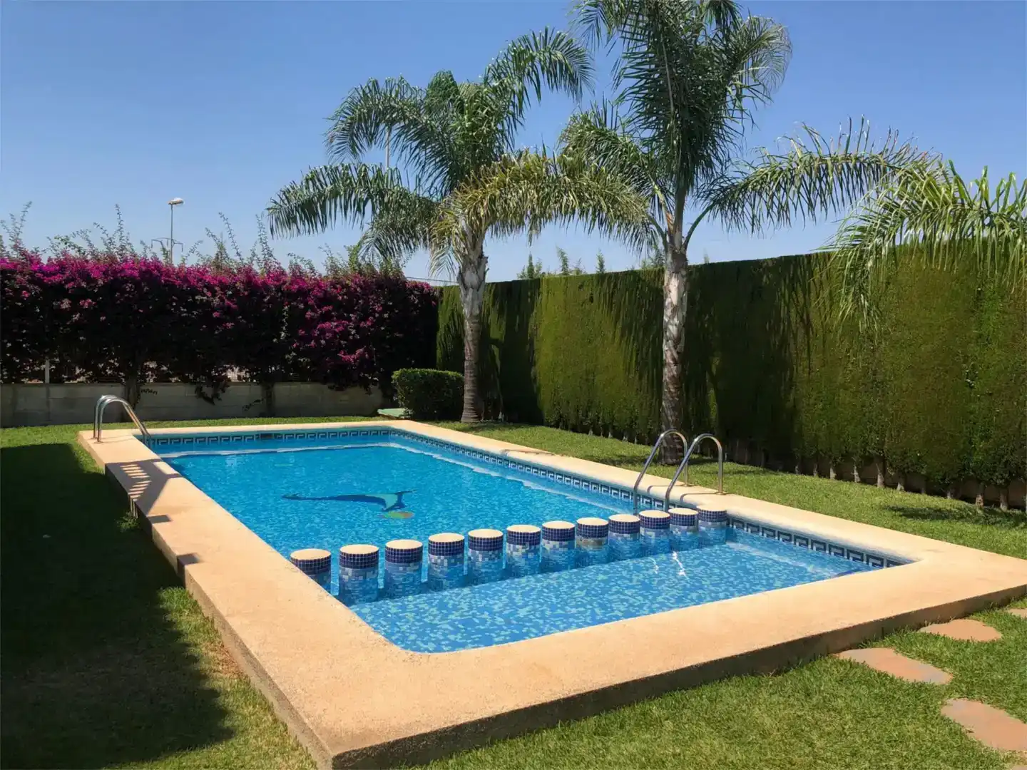 Piscina de Pis de lloguer en Oliva Playa