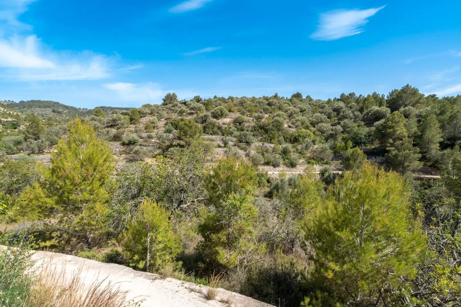 Finca rústica en venta en Tortosa