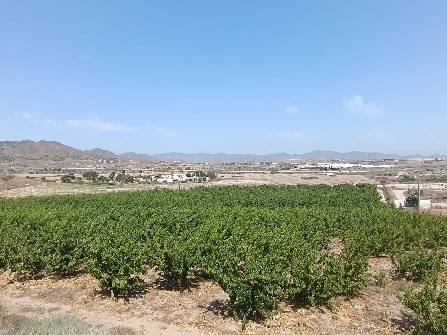 Land for sale in Mazarrón