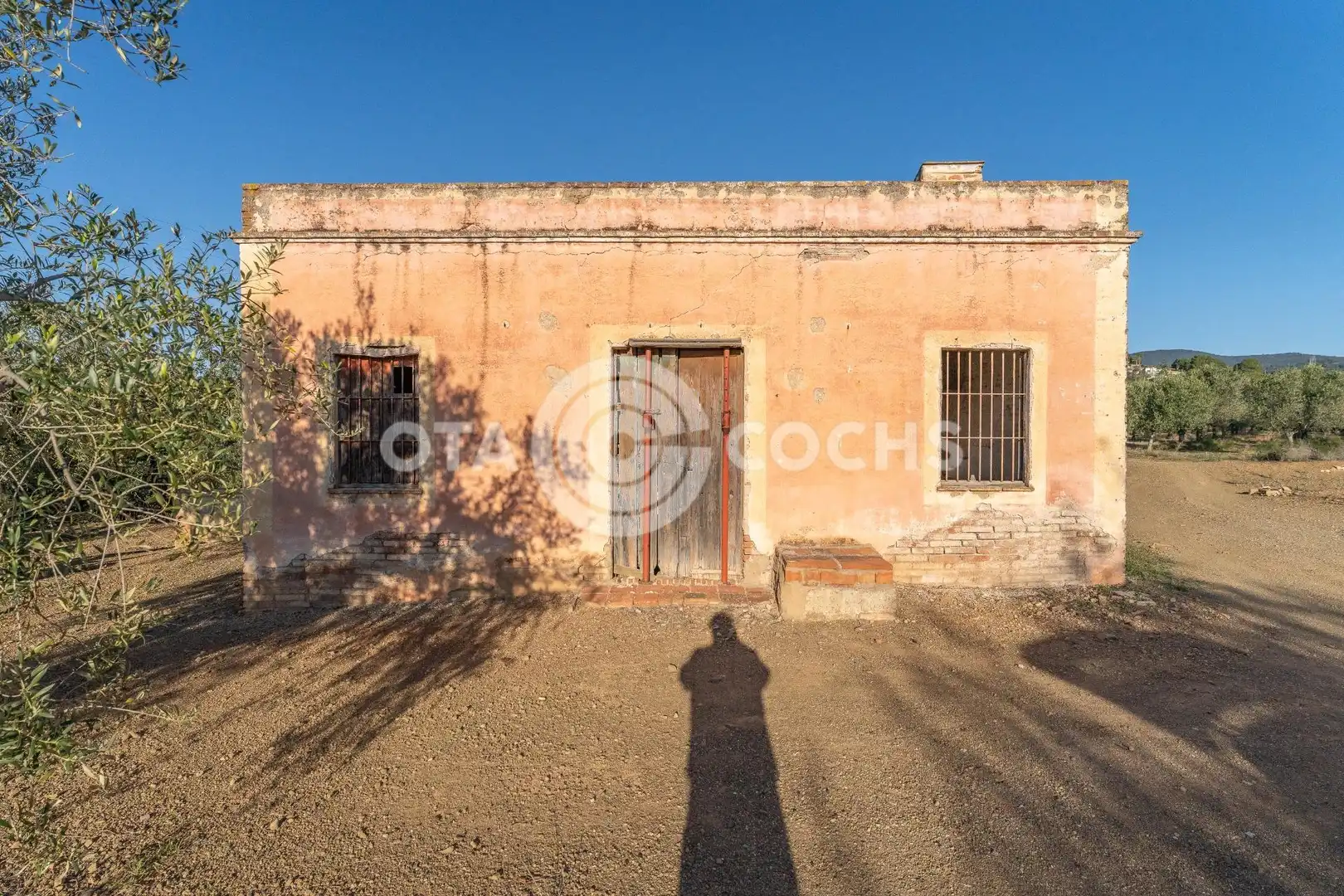 Vista exterior de Finca rústica en venta en Castellvell del Camp