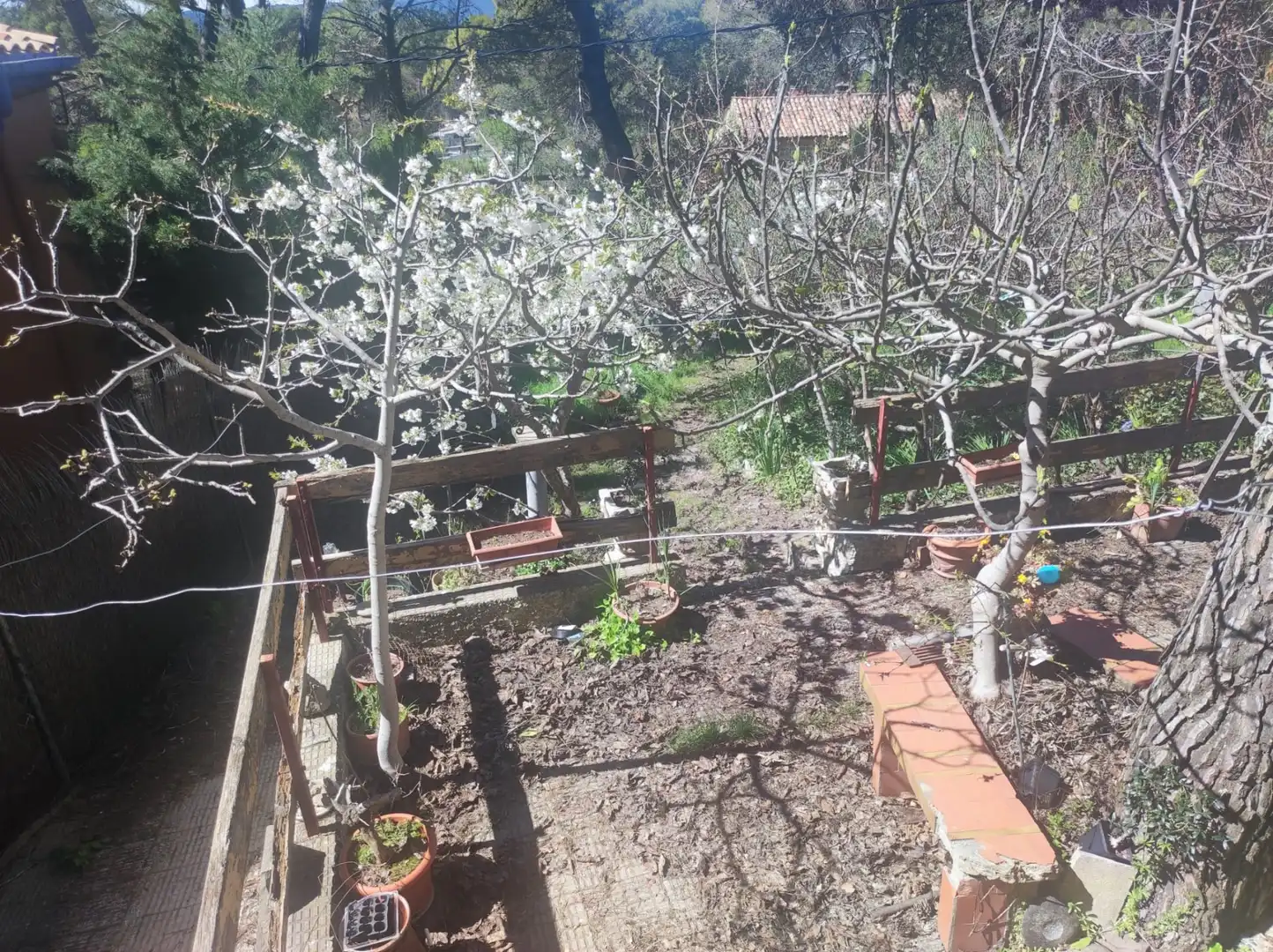 Jardín de Finca rústica en venta en Las Peñas de Riglos con Trastero, Amueblado y Balcón