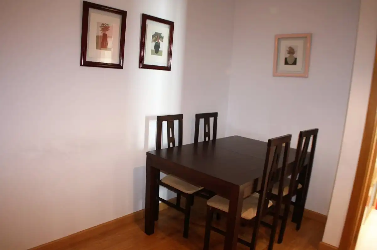 Appartamento con ascensore in affitto a Avenida salamanca, imagen 12