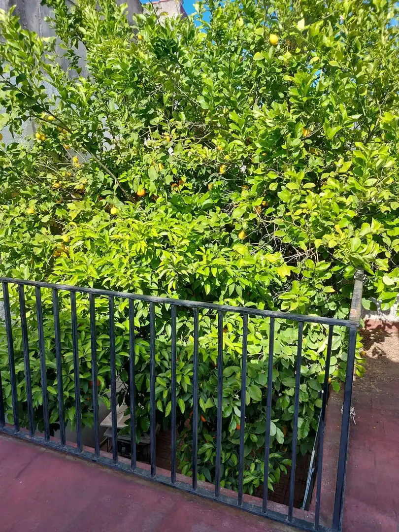 Vista exterior de Casa o xalet en venda en Bujalance amb Terrassa i Traster