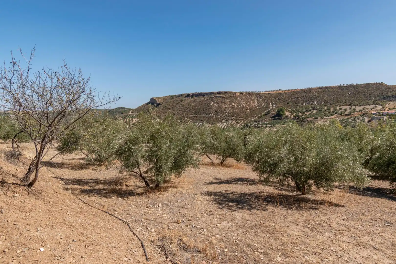 Finca rústica en venta en Vereda morollon, La Peza