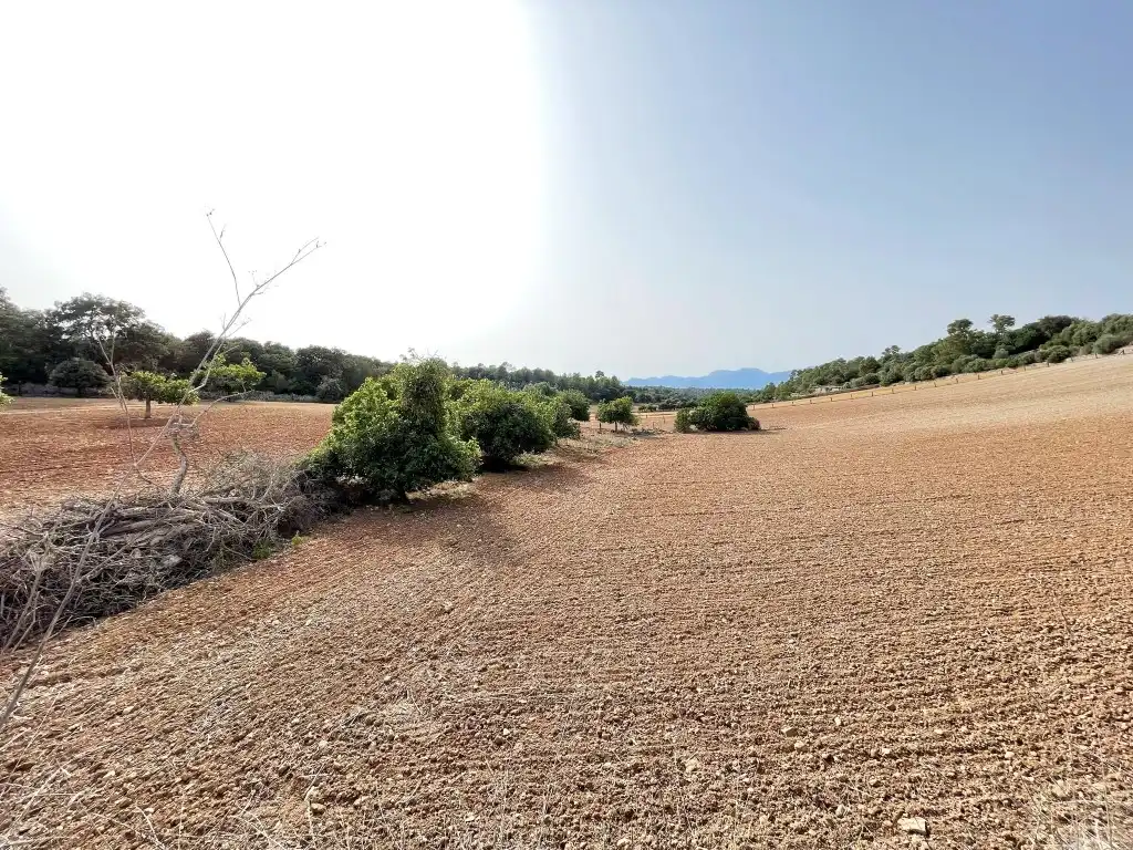 Rural land for sale in Sineu, imagen 11