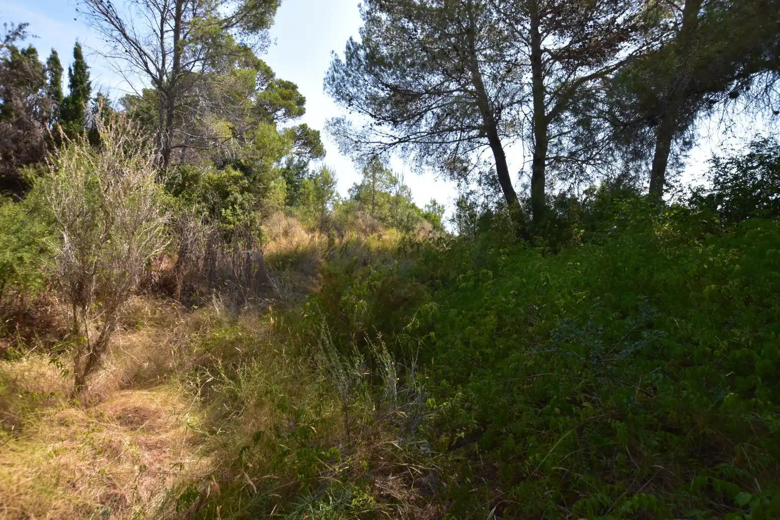 Terreno rústico en venta en Picassent - CL COVA FUMÀ, imagen 14