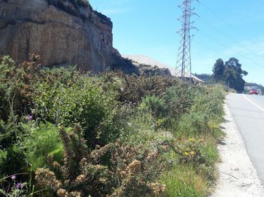 Industriegrundstück zum Verkauf in Estrada Baños de Arteixo 18