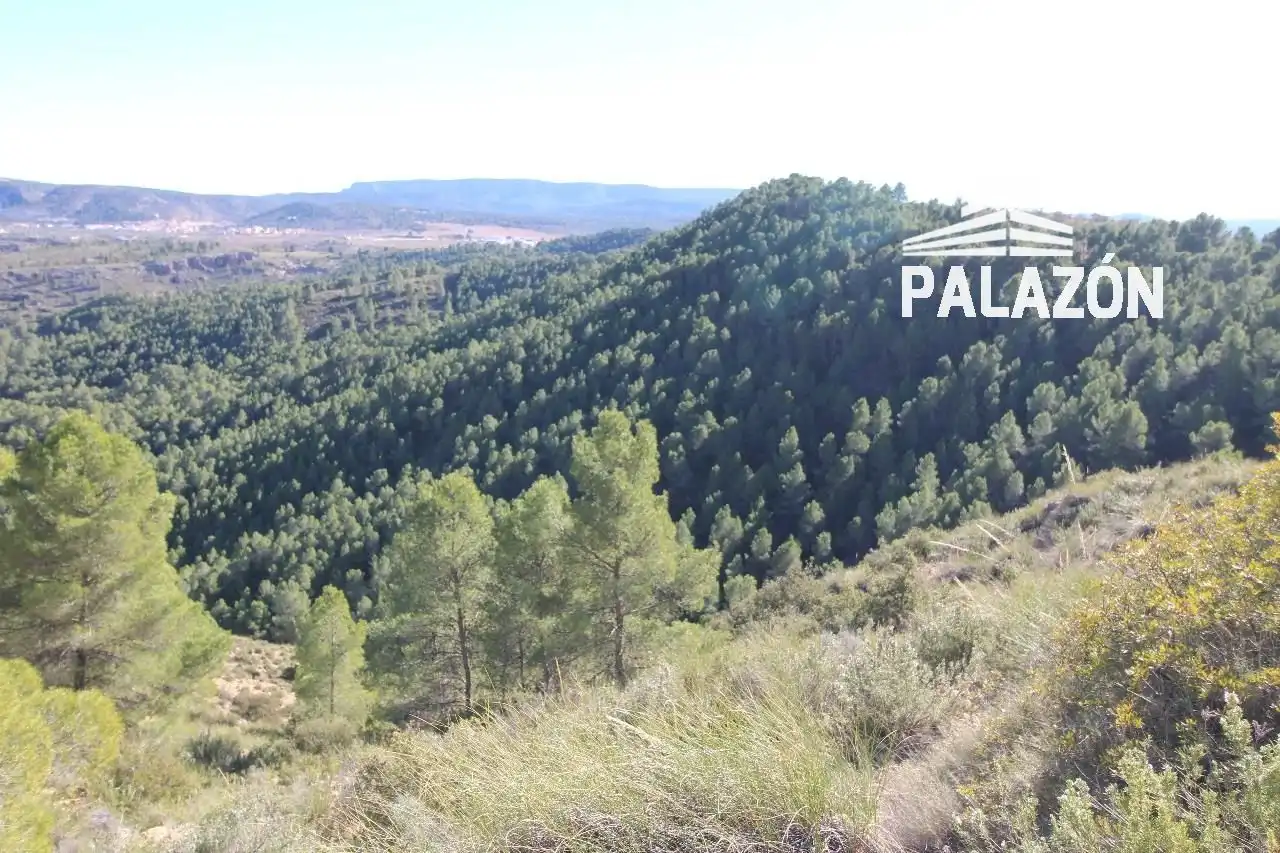 Rural land for sale in Letur, imagen 5