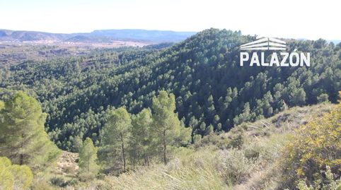 Finca de caza en venta en Letur Albacete, immagine 5
