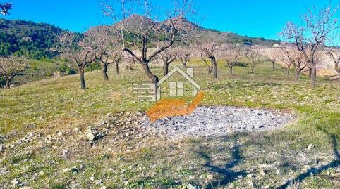 Casa Rural en venta en VélezRubio., immagine 4