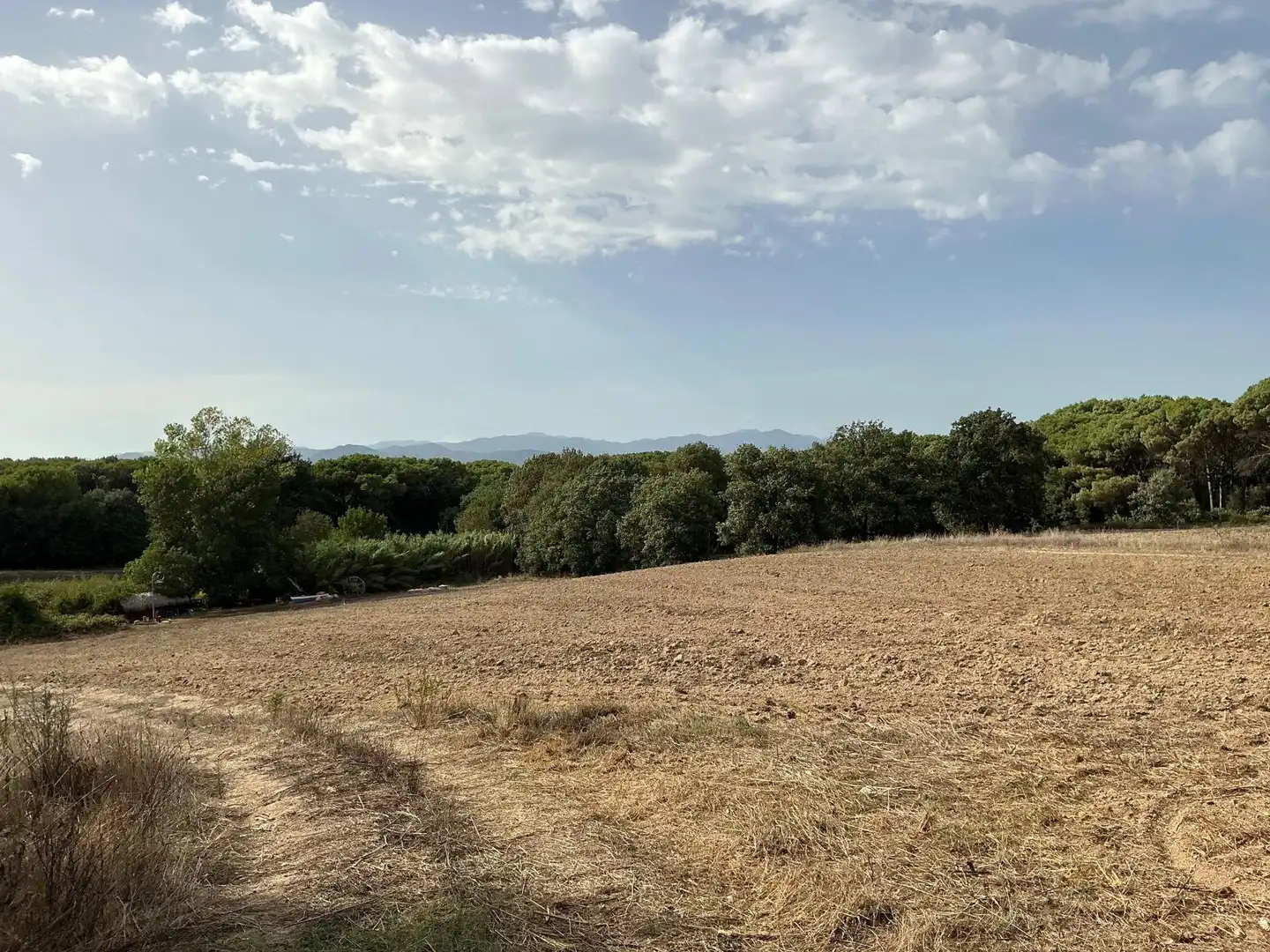 Terreno rústico en venta en Aiguaviva Parc, imagen 14