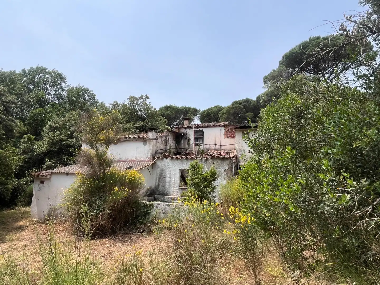 Maison rustique avec jardin à vendre à Niàgara Parc - Àgora Parc, imagen 43