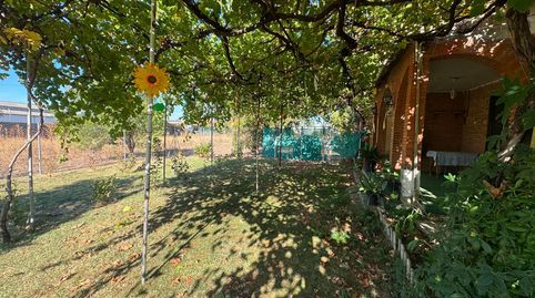 Photo 3 of Land for sale in Palomares, Pilaríca - Los Santos, Valladolid Capital