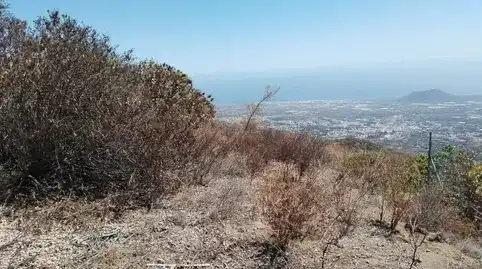 Terreny rústic en venda a Centro, imagen 4