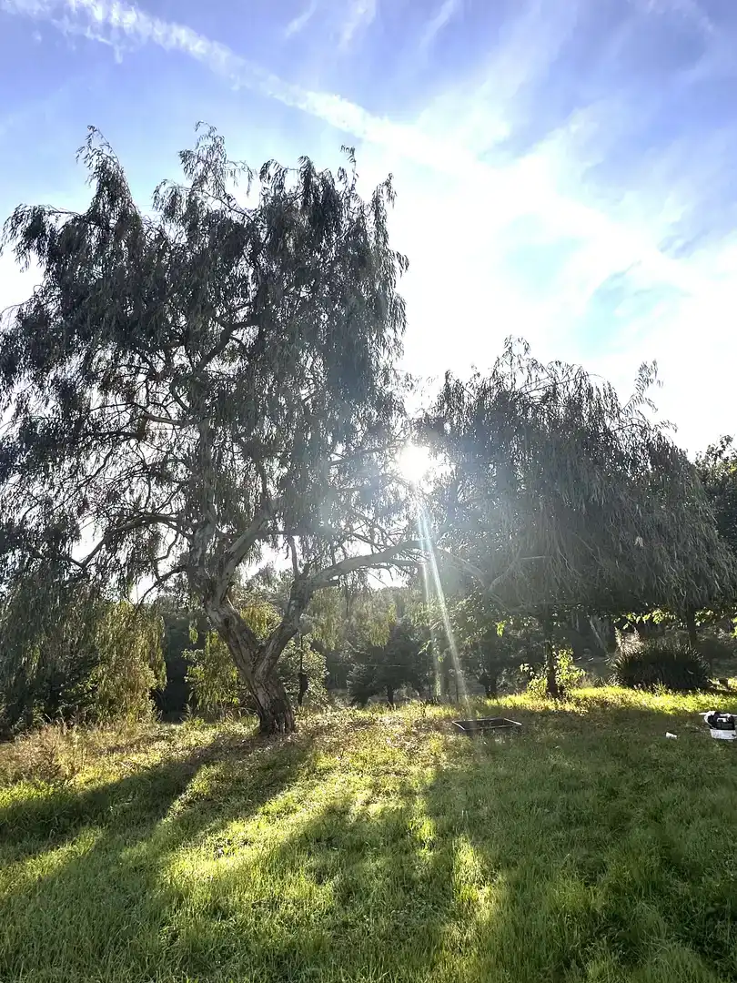 Jardí de Finca rústica en venda en Maçanet de la Selva