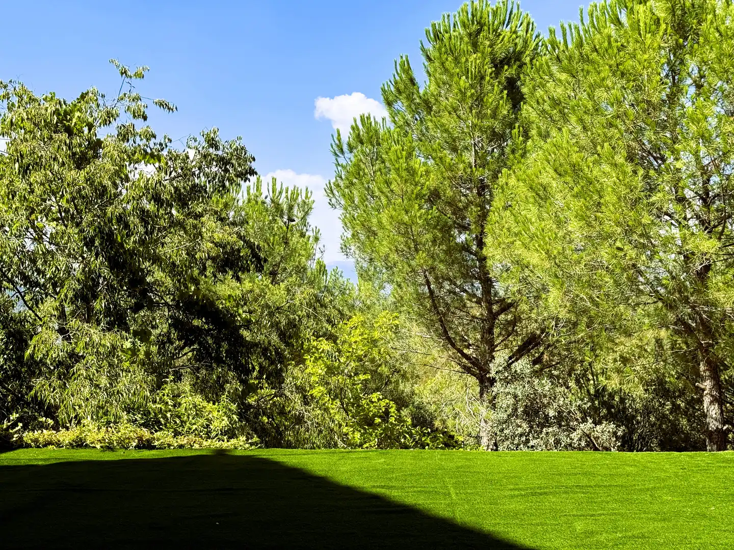 Jardí de Casa o xalet en venda en Collado Villalba amb Calefacció, Jardí privat i Terrassa