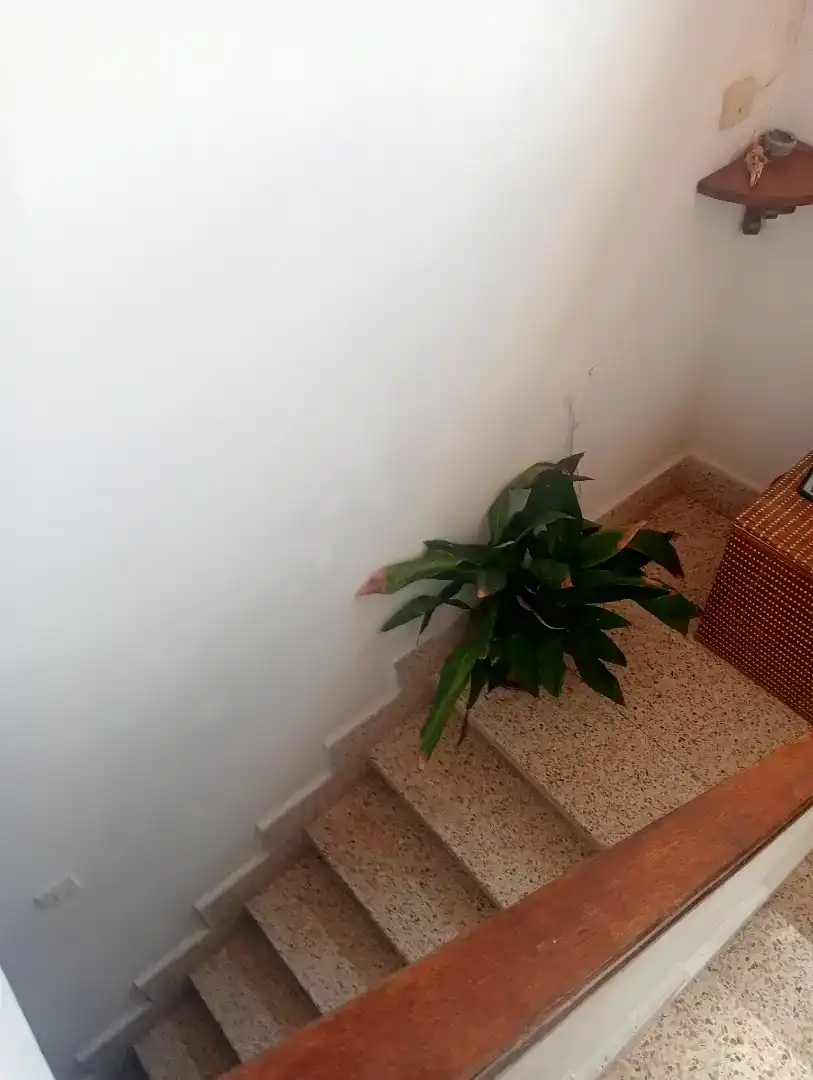 Country homes for sale in Salas