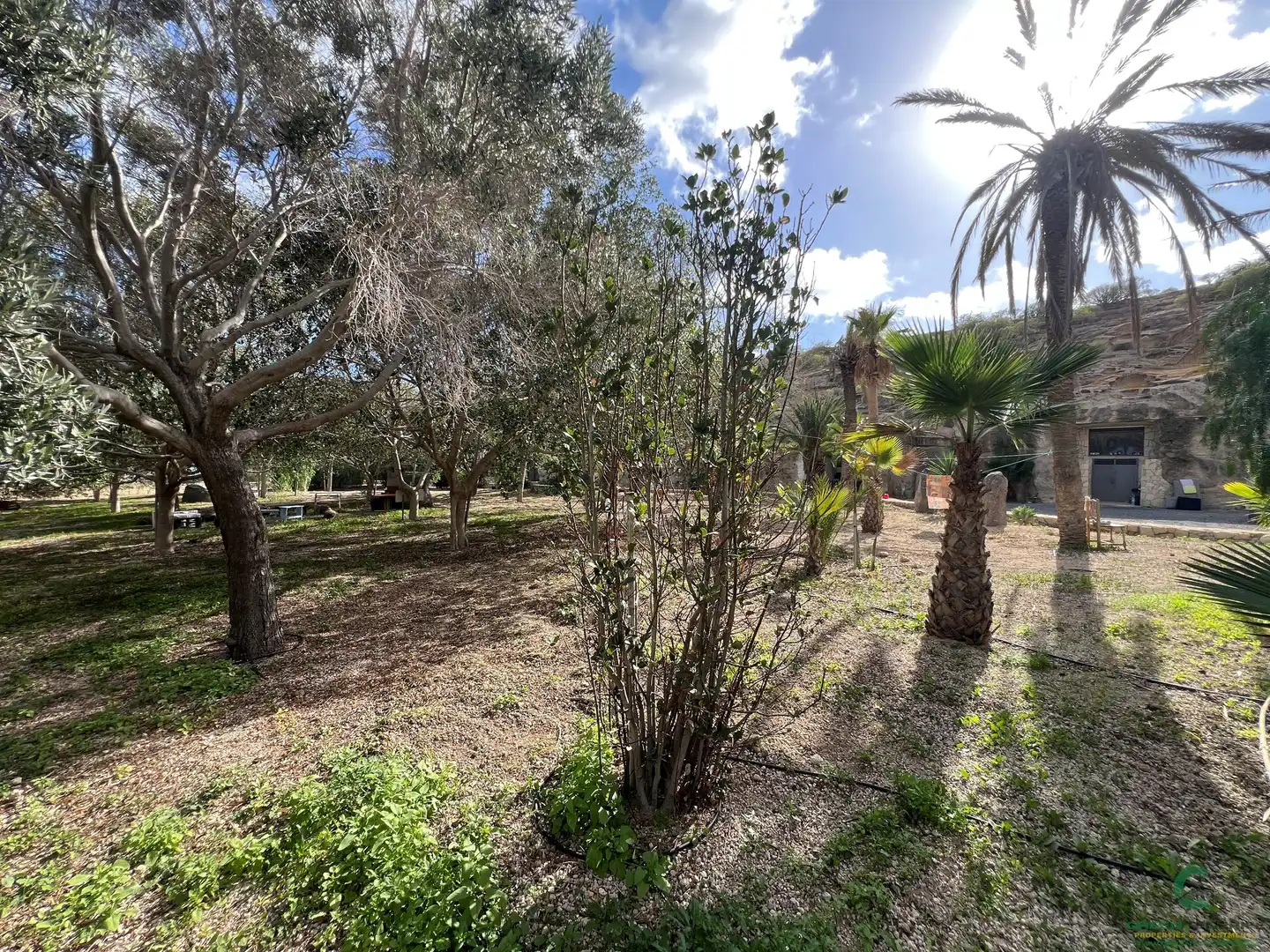 Finca rústica en venta en Granadilla de Abona