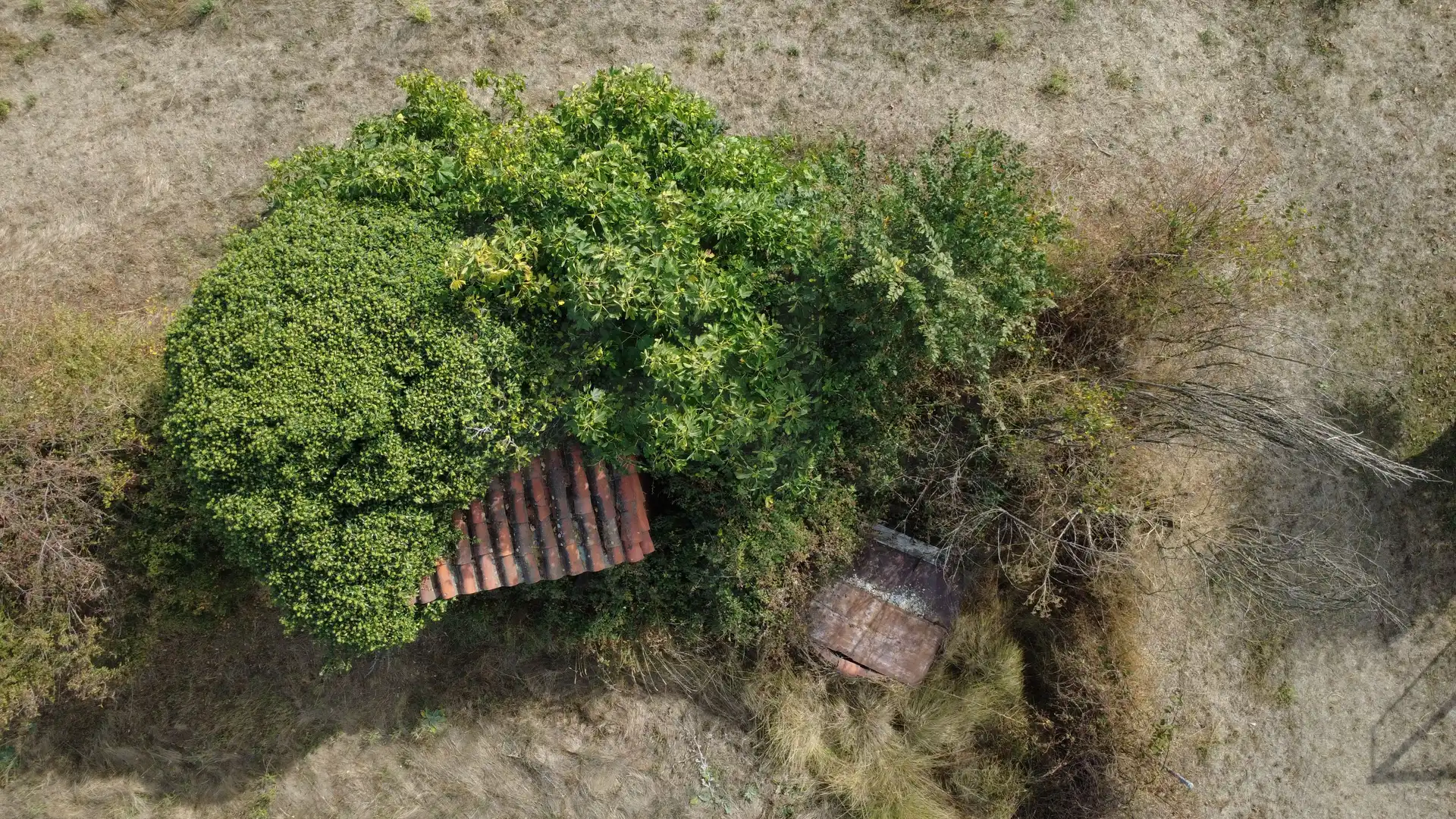 Terreni e lotti in vendita a San Andrés del Rabanedo pueblo, imagen 10