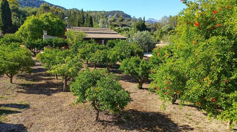 Photo 3 of House or chalet for sale in Camino Camí Des Raiguer, Binissalem, Illes Balears