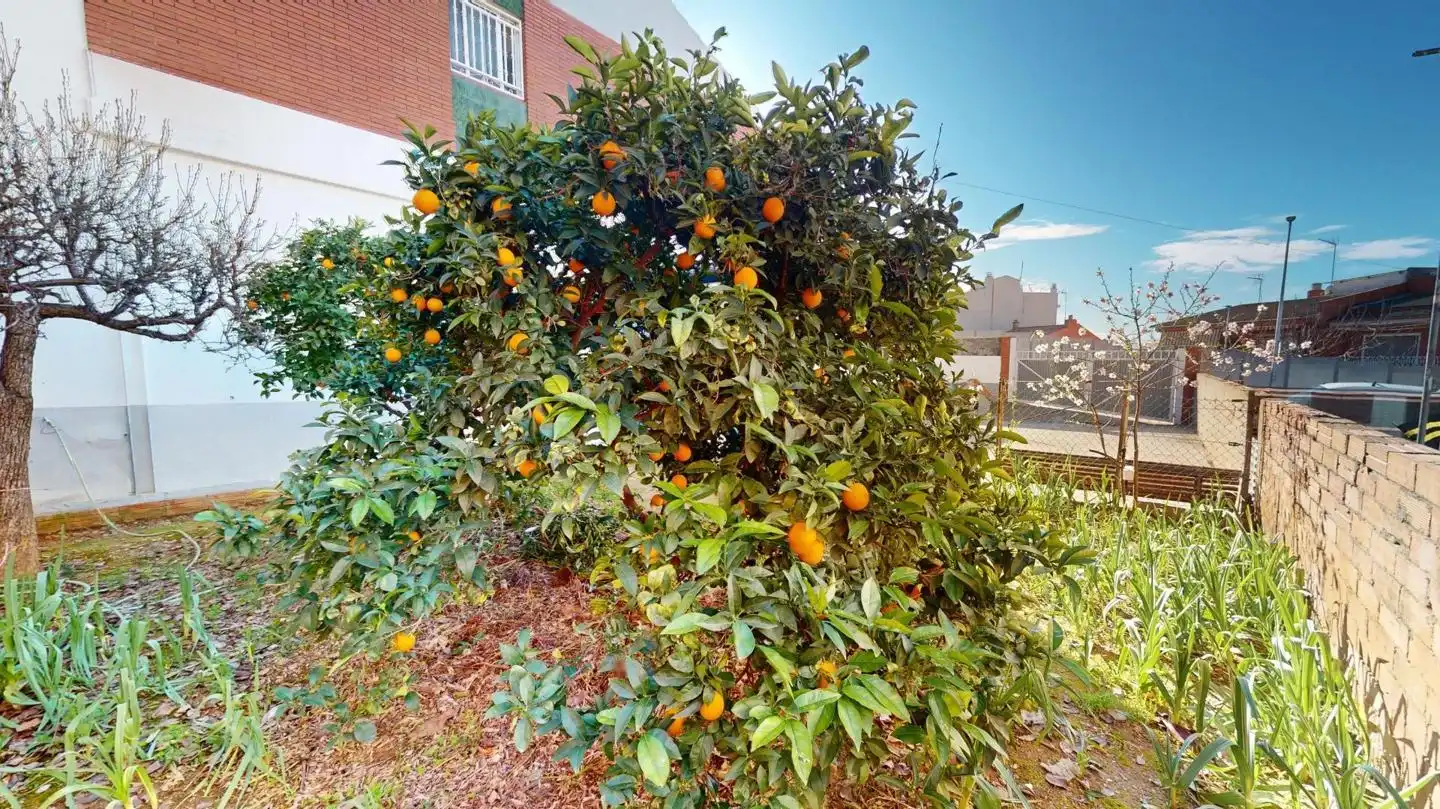 Jardí de Casa o xalet en venda en Viladecans amb Jardí privat i Terrassa